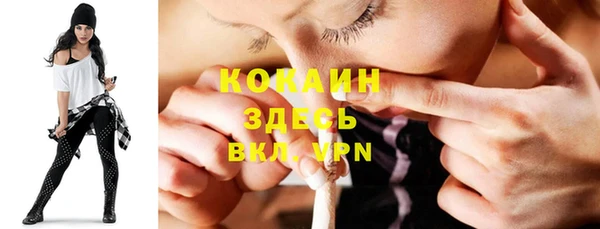 молекула духа Арсеньев
