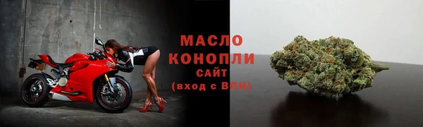 молекула духа Арсеньев