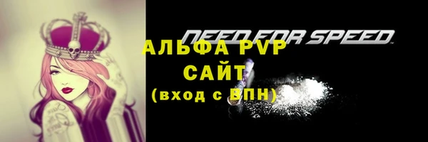 молекула духа Арсеньев