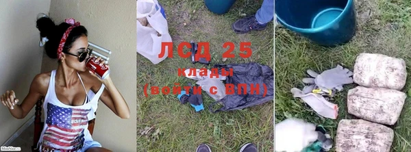 каннабис Аркадак