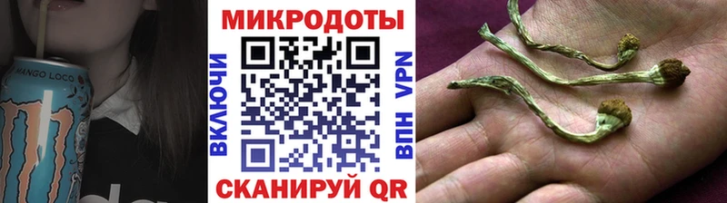 Псилоцибиновые грибы ЛСД  Приозерск 